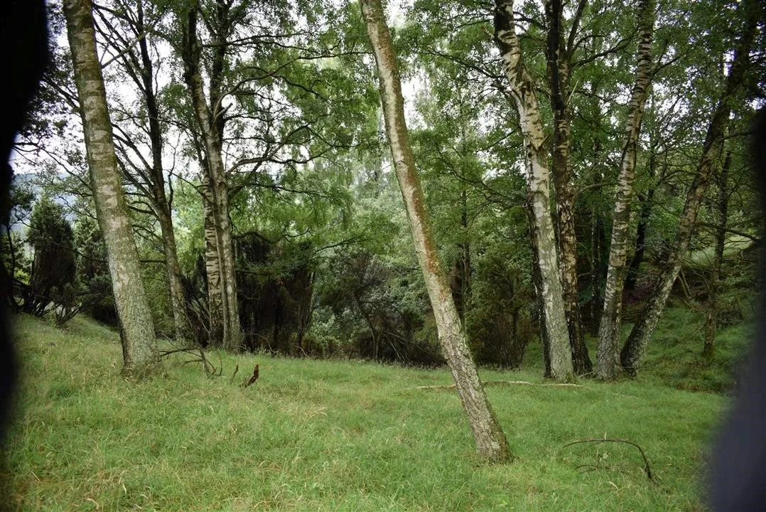 G21.4 bramslev bakker restaurant lunch fri 21 jul (14)